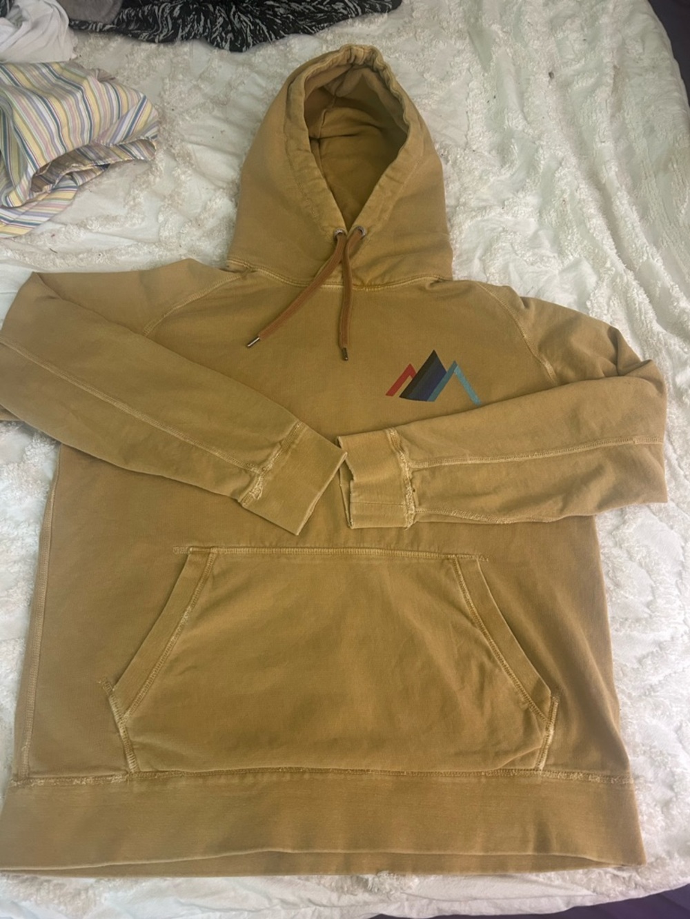 American Eagle Outfitters Hooded Pullover Sweatshirt